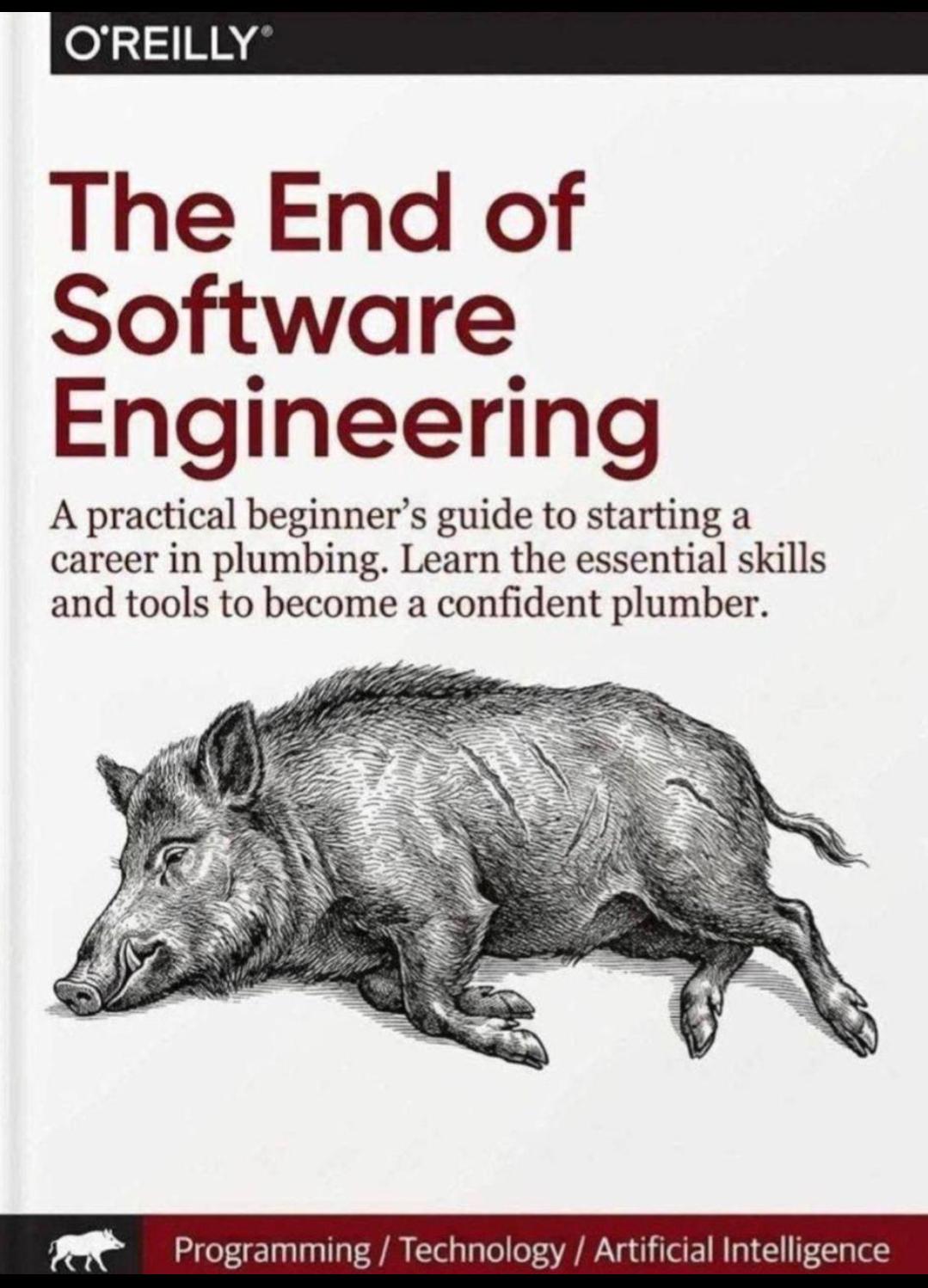 The End of Software Engineering Book Cover